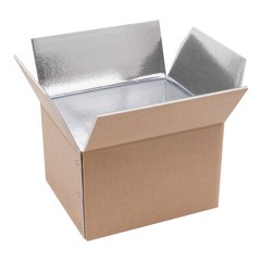 20Pcs 200kg/440lbs Box Insulated Shipping Box Cold Shipping Boxes Cooler BoxUSUS
