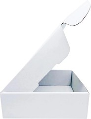 6 x 6 x 2 Inch 50 Pack Recyclable Gift Mailers Corrugated Shipping Boxes