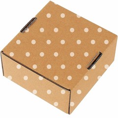 Green Recyclable Cardboard Small Gift Mailer Boxes for Shipping Packaging Cra…