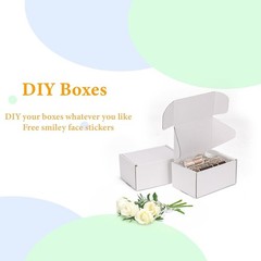 Lightweight Cardboard Shipping Boxes Pack of 50 6x4x3 Inches for Packaging