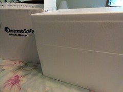 Large ThermoSafe Insulated Shipping Cooler Mailer 20″ x 13″ x 16″
