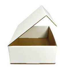 UBMOVE White Corrugated Mailer and Literature Boxes Sets of 50 (11″ x 8.75″ x 2″