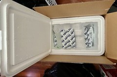 KoolTemp Large Insulated Shipping Box Styrofoam Cooler + Gel Packs Cold 22x14x15