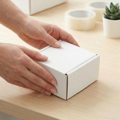 75 PCS 4x4x2 Inch Oyster White Corrugated Mailer Shipping Box Small Cardboard