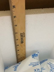 Styrofoam Insulated Medical Cooler 12″Hx12″Lx10″WwShipping Box 2 Gel Ice PacksDR