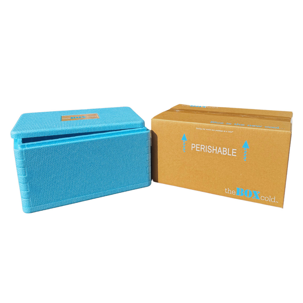 EPE USA Insulated Cold Shipping Box Foam Cooler ID: 17 ³⁄₁₆” x 10 ³⁄₁₆” x 8 ¼”