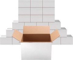 Elegant 25 Count White Shipping Boxes 9x6x6 Inches – Ideal for Online Sellers