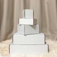 Brand New White 10x10x3 Shipping Boxes (Set of 25) for Mailing and Storage