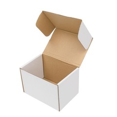 50 PCS 6x4x4 White Corrugated Shipping Mailer Carton Packing Fold Box for USPS