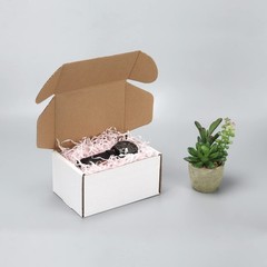 HORLIMER 6x4x3 inches Shipping Boxes Set of 25, White Corrugated Cardboard Bo…
